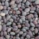 Supplier of River-Pebbles