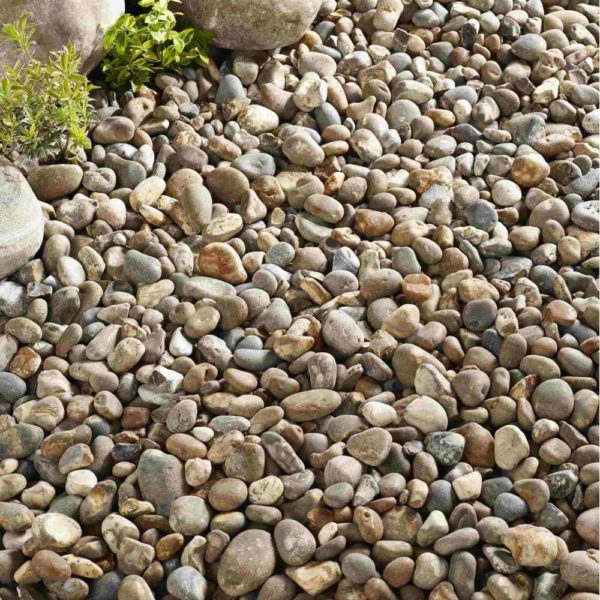 Exporter of River Pebbles